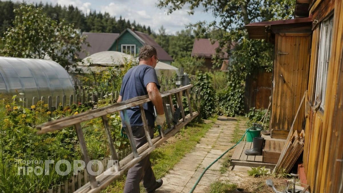 Как оформить дачу в Нижегородской области по упрощенной схеме