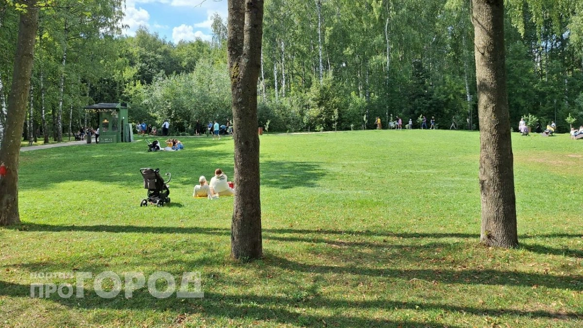 Нижегородцев ожидает теплое солнечное воскресенье