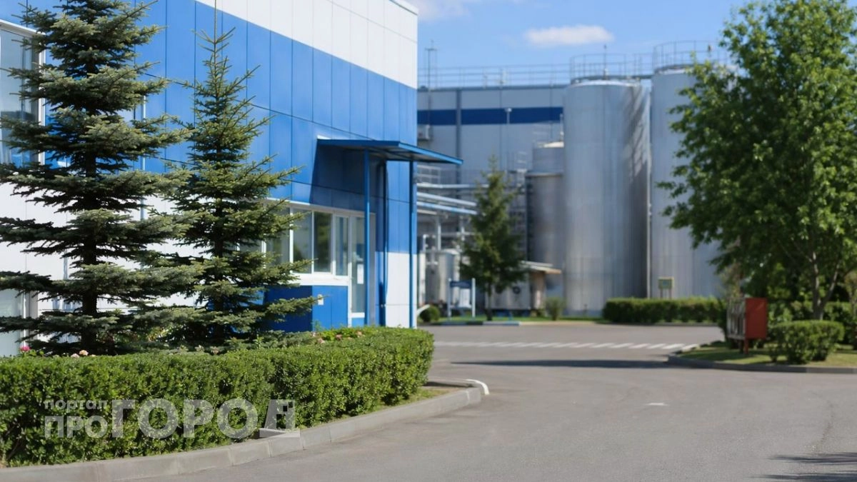 Завод за 2,7 миллиарда рублей хотят построить в Володарске