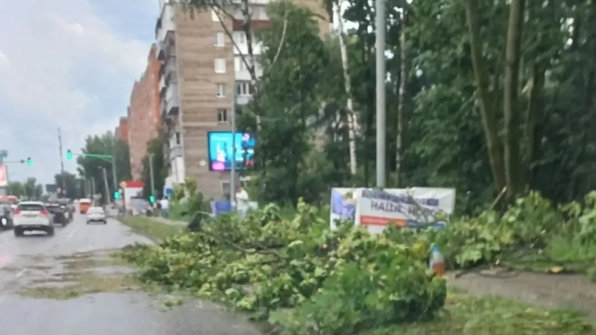Мэр Нижнего Новгорода проверил ликвидацию последствий шторма с ветром до 17 мс