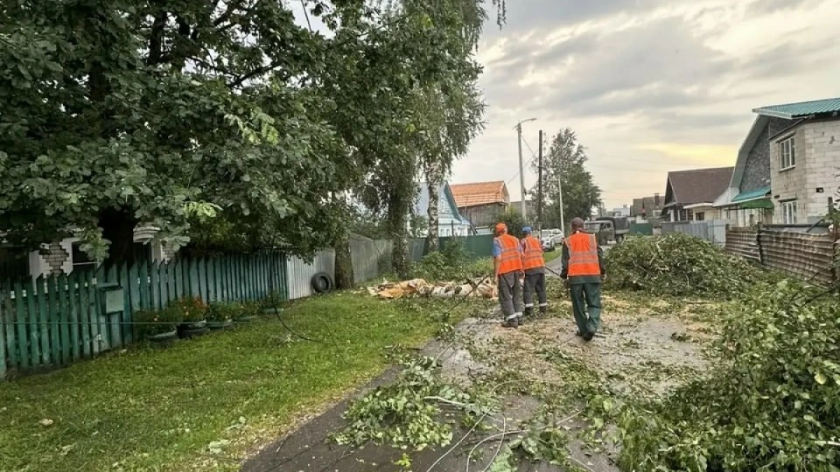 Электроснабжение вернулось в большинства населенных пунктов в Борском районе