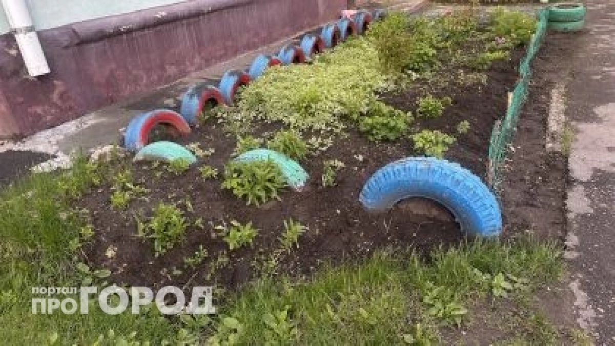 Клумбы из колес в прошлом, в ход идут стеклянные банки: получаю роскошный декор за копейки