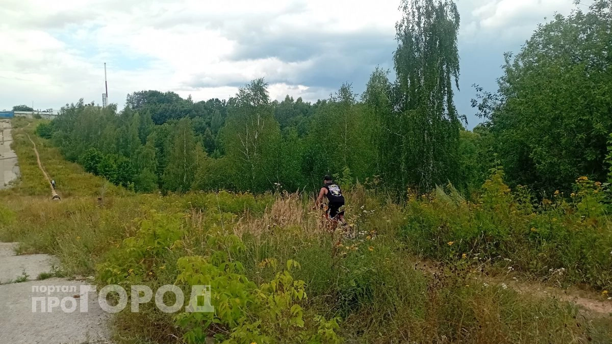 Минлесхоз обновил карту лесов в Нижегородской области, которые пока нельзя посещать