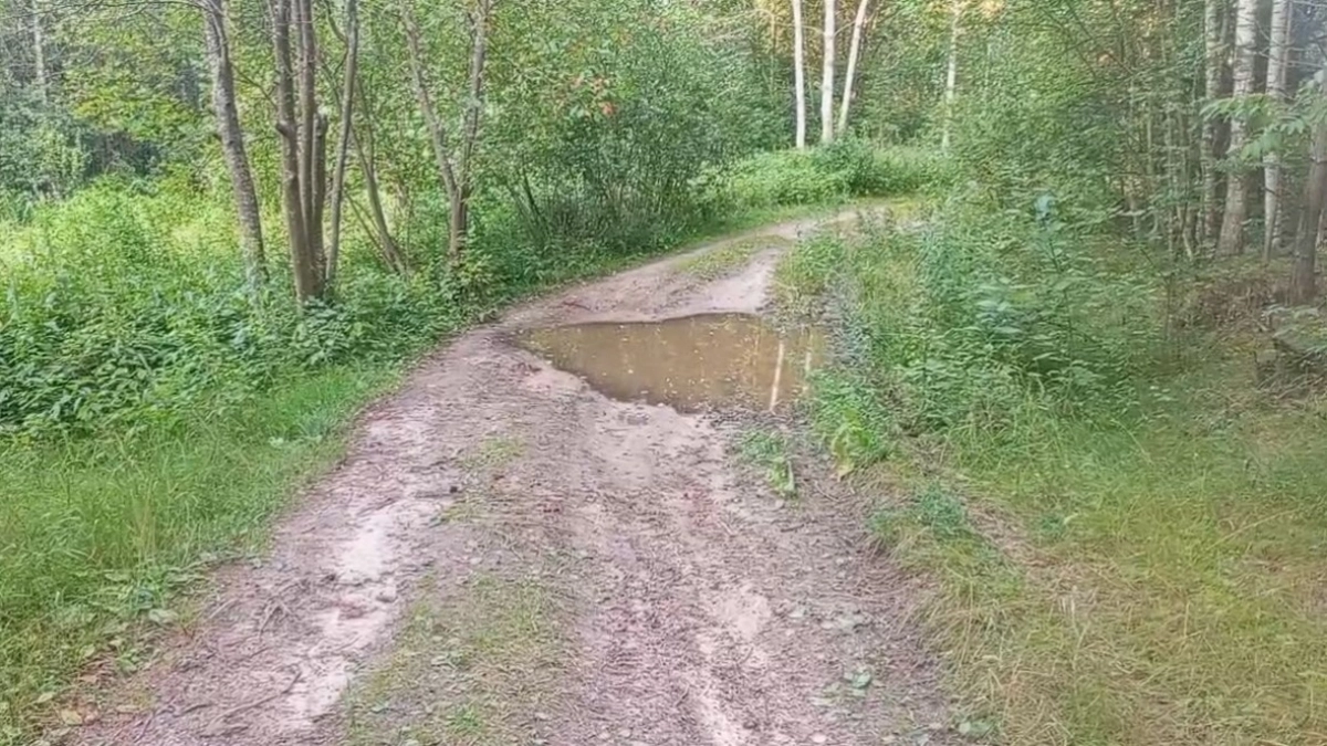 15-летняя девочка на квадроцикле врезалась в дерево в Городецком районе
