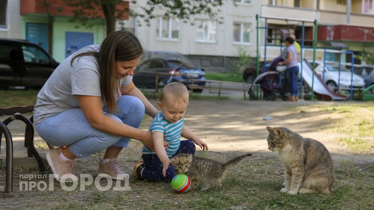Я не смогла сдержать улыбку при просмотре этих кадров: кошачьи шалости помогут вам отвлечься от проблем