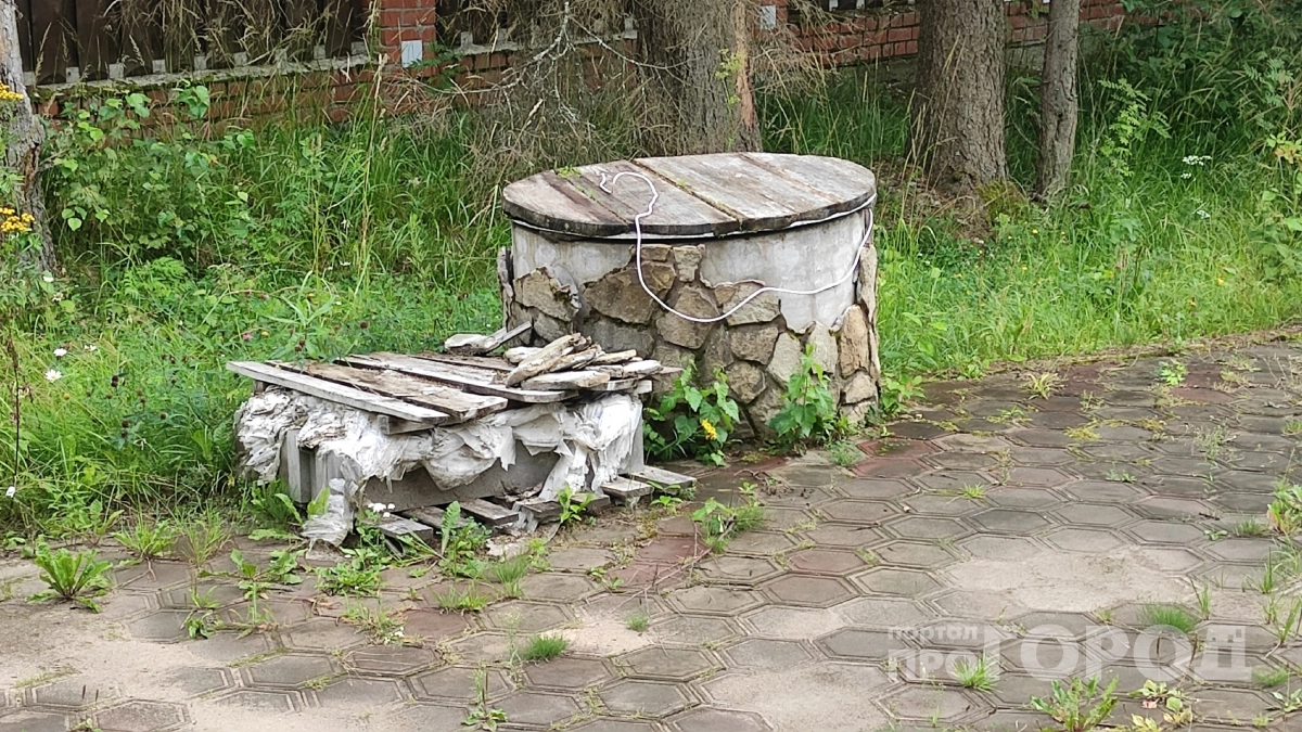 Пашет как 100 насосов: посадил возле септика одно дерево и бед не знаю - ни вони, ни откачки