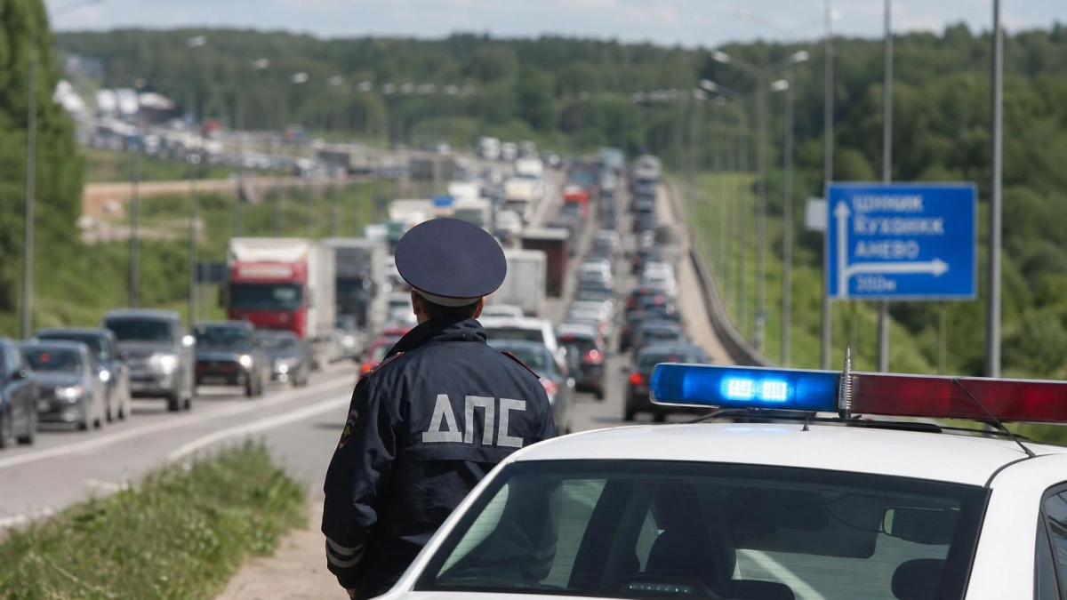 Под Нижним Новгородом дикий кабан остановил движение и собрал 10-километровую пробку