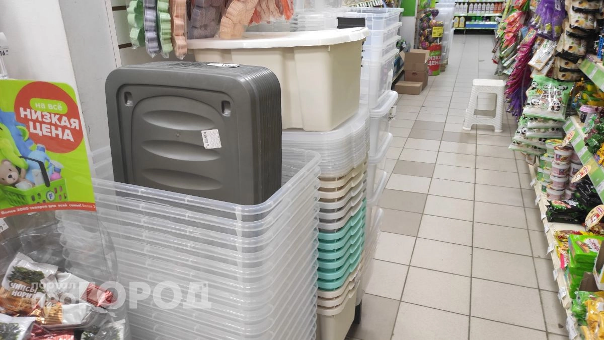 Нашла в Fix Price вещь за 199 рублей, которая спасла мой дачный участок от вечного беспорядка: теперь советую всем