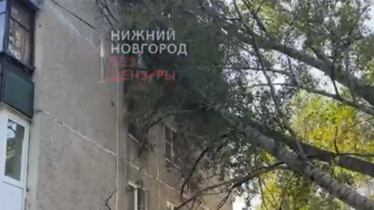 Огромное дерево рухнуло на пятиэтажку и оборвало провода в Нижнем Новгороде