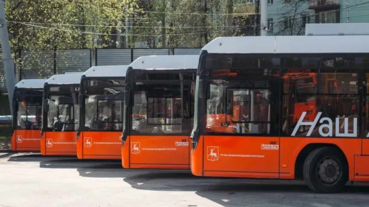 В нижегородских автобусах за полгода выявили 5 245 нарушений