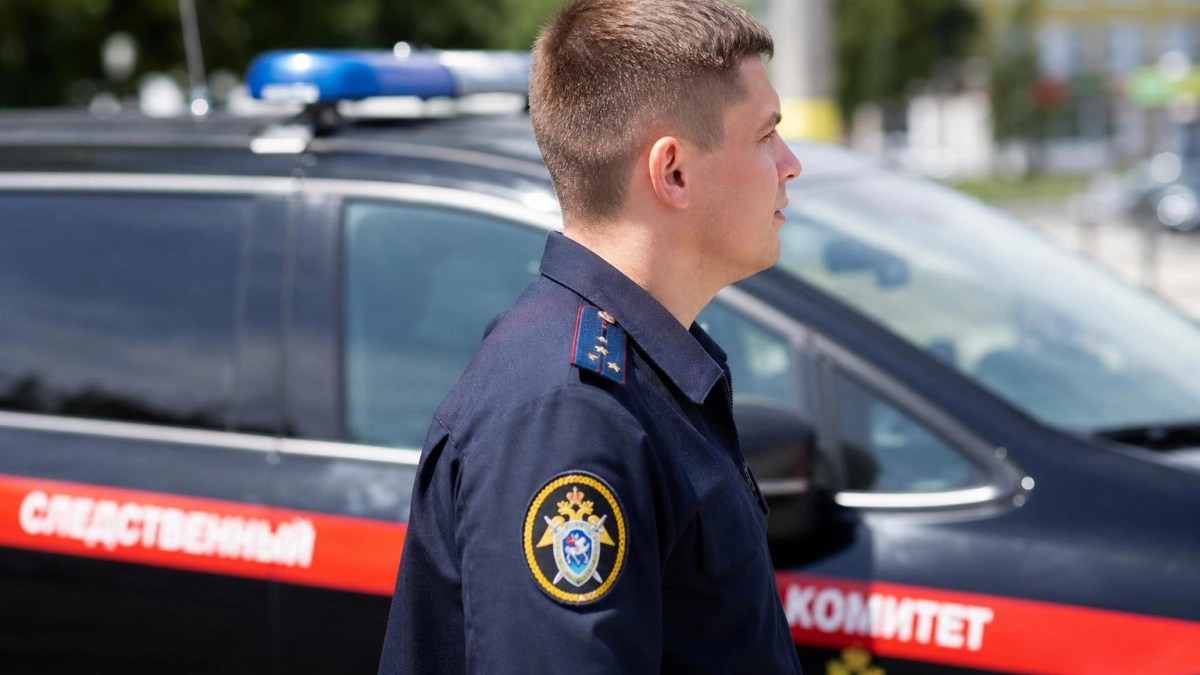 После избиения пенсионерки в Дзержинске Бастрыкин обратился к родителям подростков