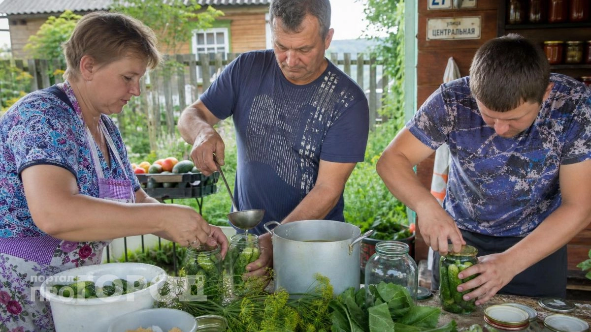 Больше не покупаю огурцы по бешеной цене: делаю горчичные банки за копейки и наслаждаюсь идеальным хрустом