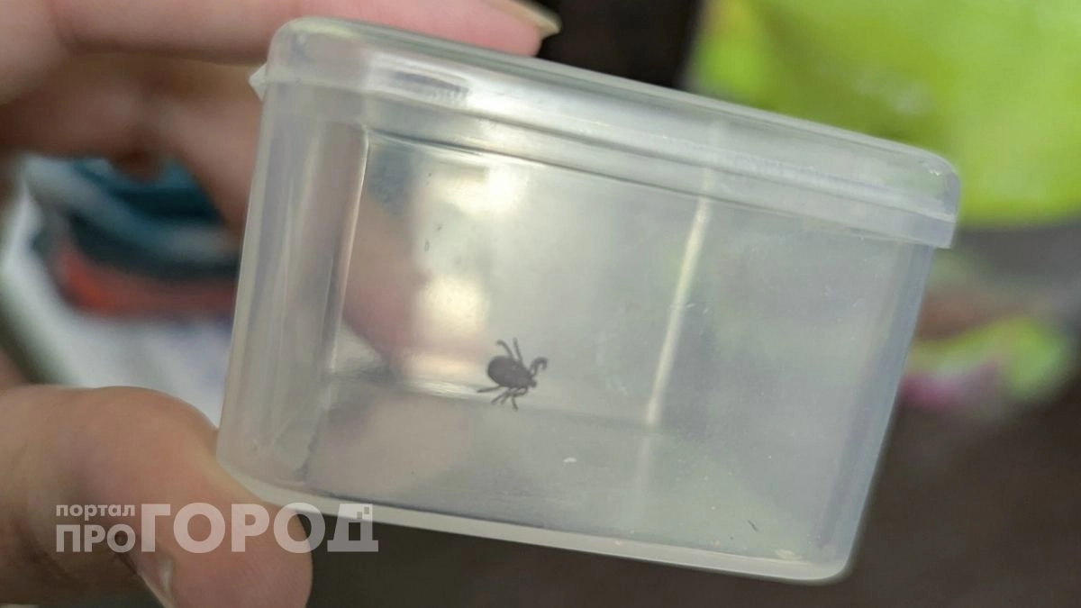 Более 6 тысяч нижегородцев обратились к врачам после укусов клещей