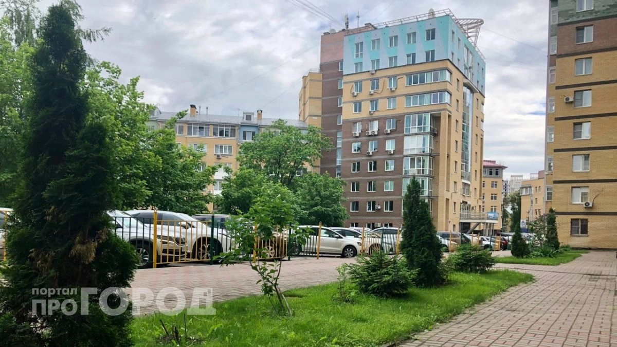 Нижегородцам объяснили, как действовать, если во дворе накренилось и грозит упасть дерево