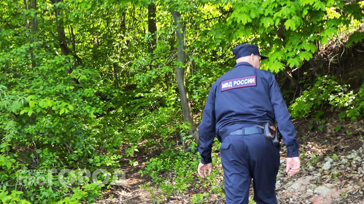 Пенсионер из Бора пойдет под суд за зверское убийство супругов из-за границ участка