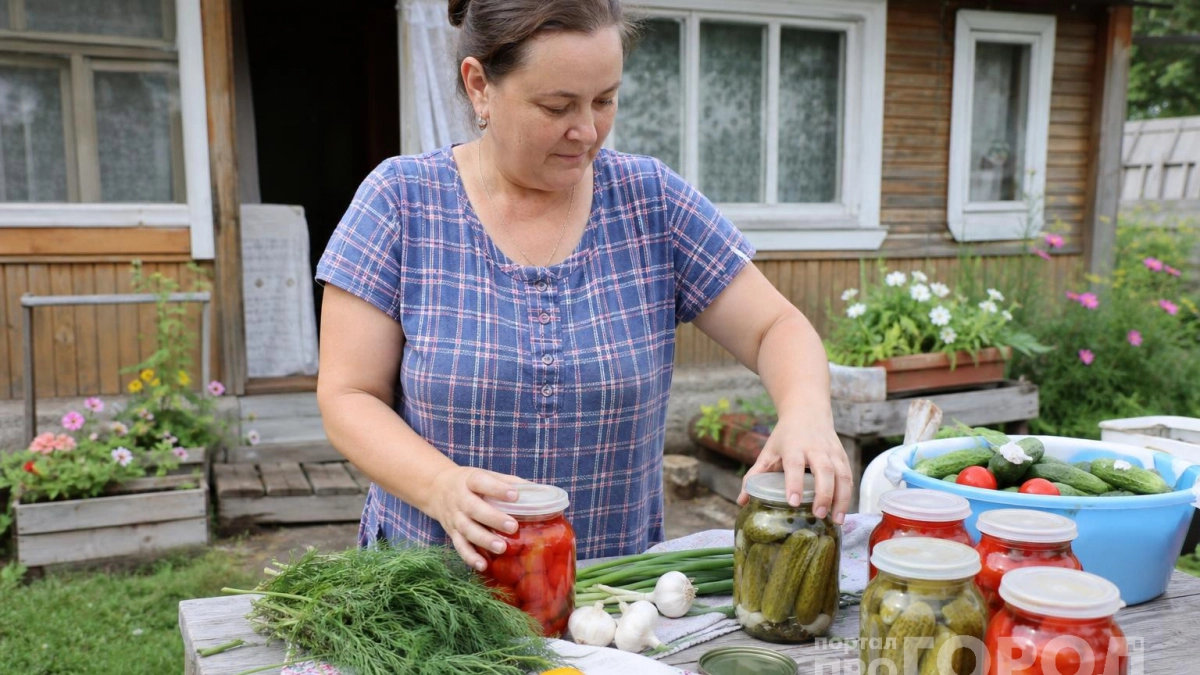 Огурцы «Царская охота»: закатываю каждый год — хрустят звонко, а банки стоят как солдаты
