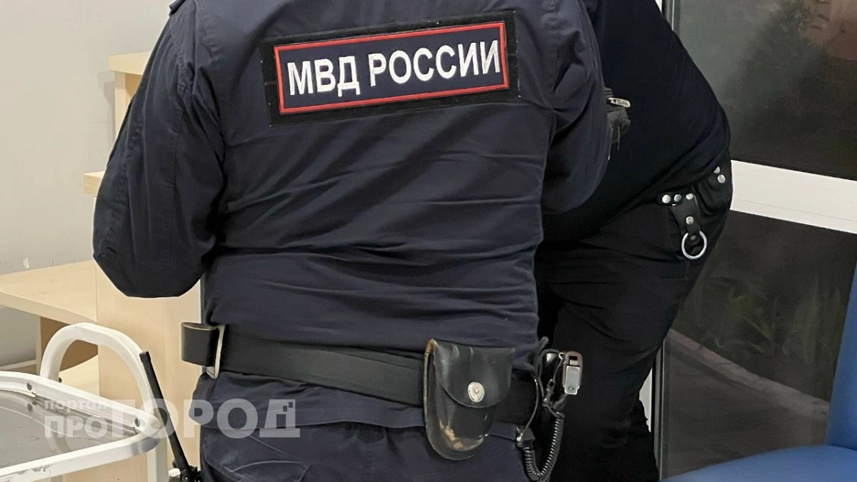 Полиция раскрыла схему перепродажи банковских карт в Павлове с оборотом почти в 400 тысяч рублей