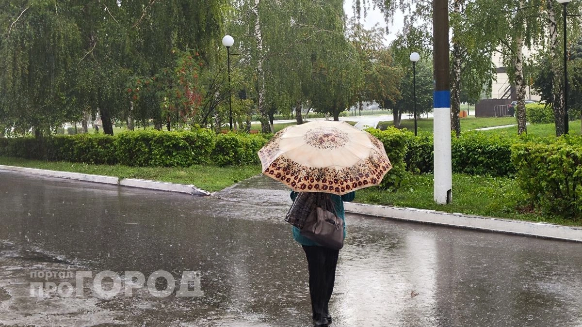 Шквалистый ветер и мощные ливни накроют Нижний Новгород в ближайшие сутки
