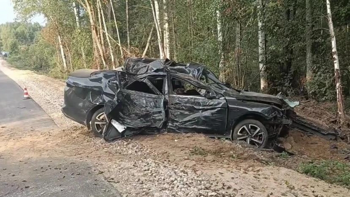 В Воскресенском районе иномарка влетела в дерево и погубила пассажира
