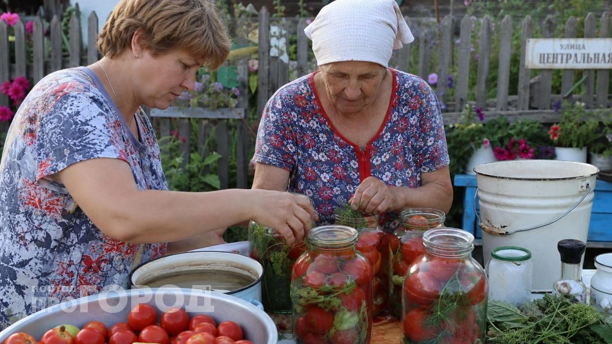 Больше не выбрасываю лопнувшие банки: нашел метод маринования помидоров из шестидесятых с идеальным рассолом
