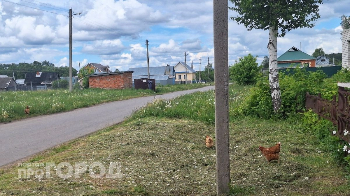 Более 20 населенных пунктов объединят в Чкаловском районе ради газификации