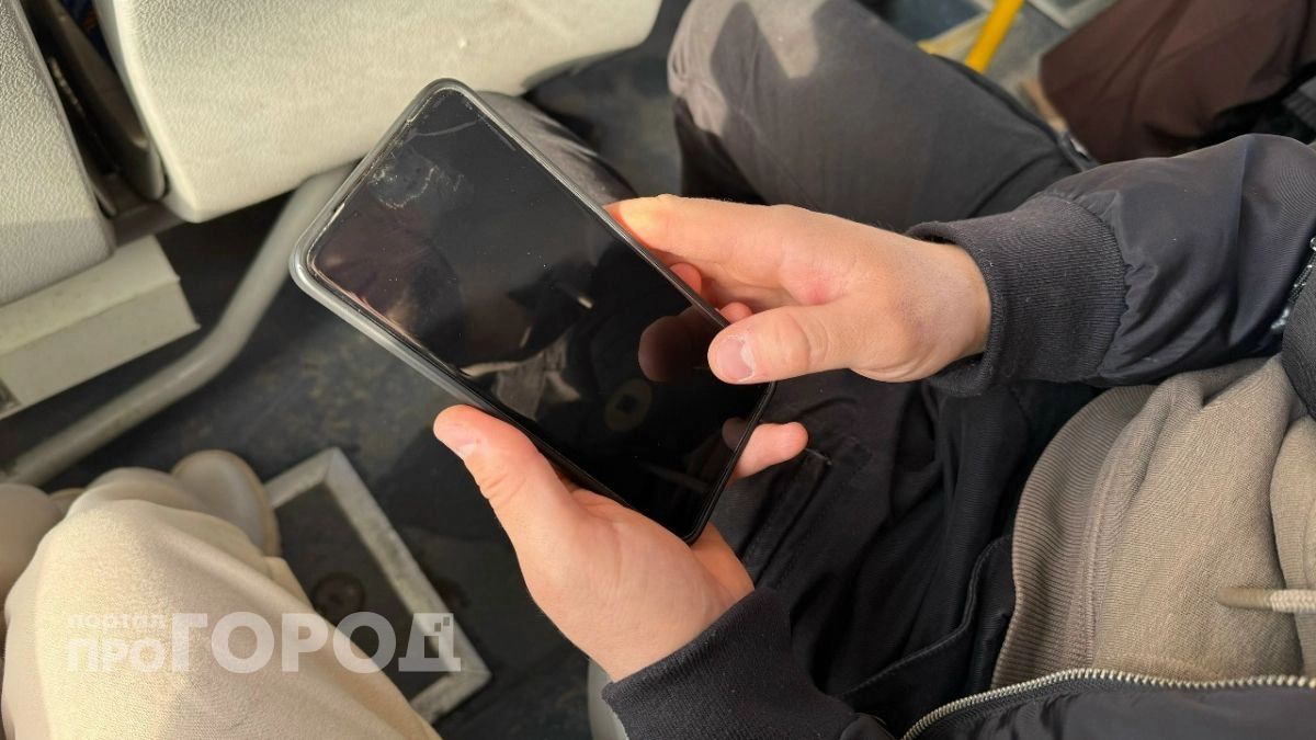 Поиск интимного досуга в сети обошелся жителю Арзамаса в 255 000 рублей