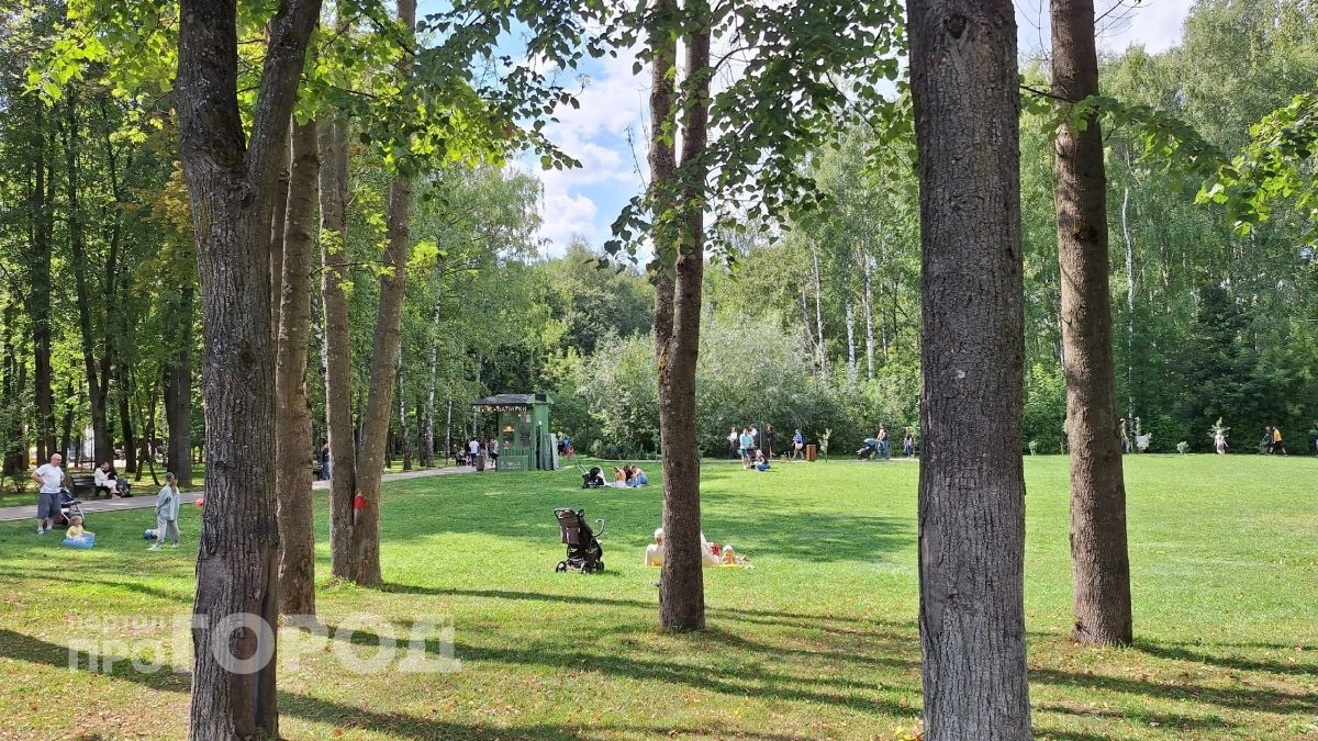 Третий класс пожароопасности охватил все леса Нижегородской области