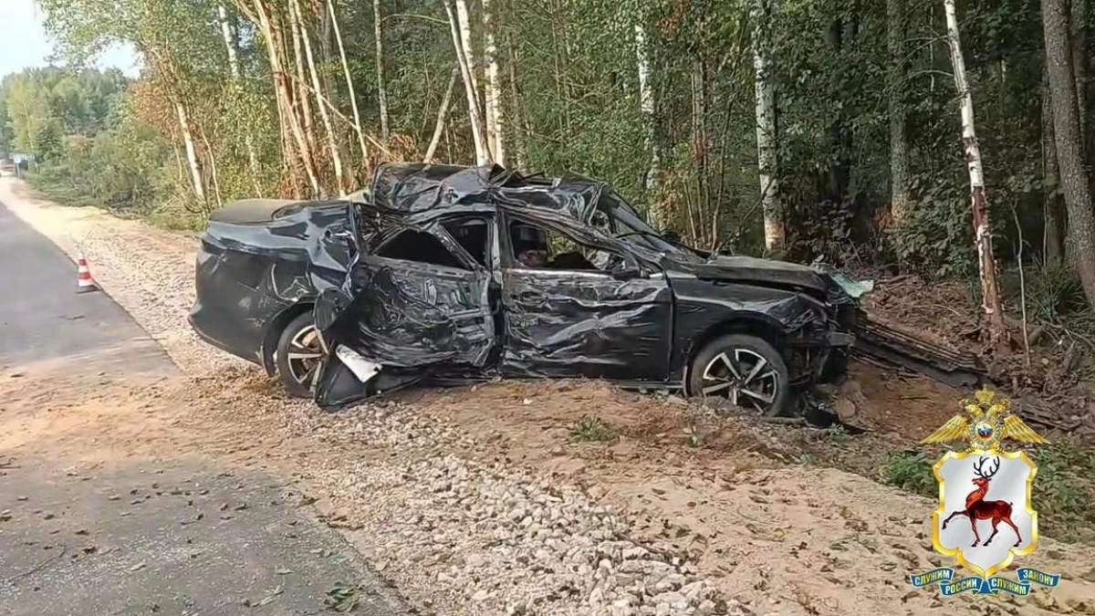 В Нижегородской области арестовали водителя после пьяного ДТП со смертельным исходом