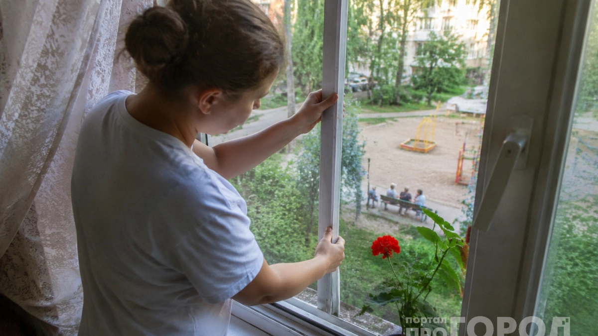 Купила этот цветок — и дома свежо и комфортно: природный фильтр, который убирает до 90% вредных примесей