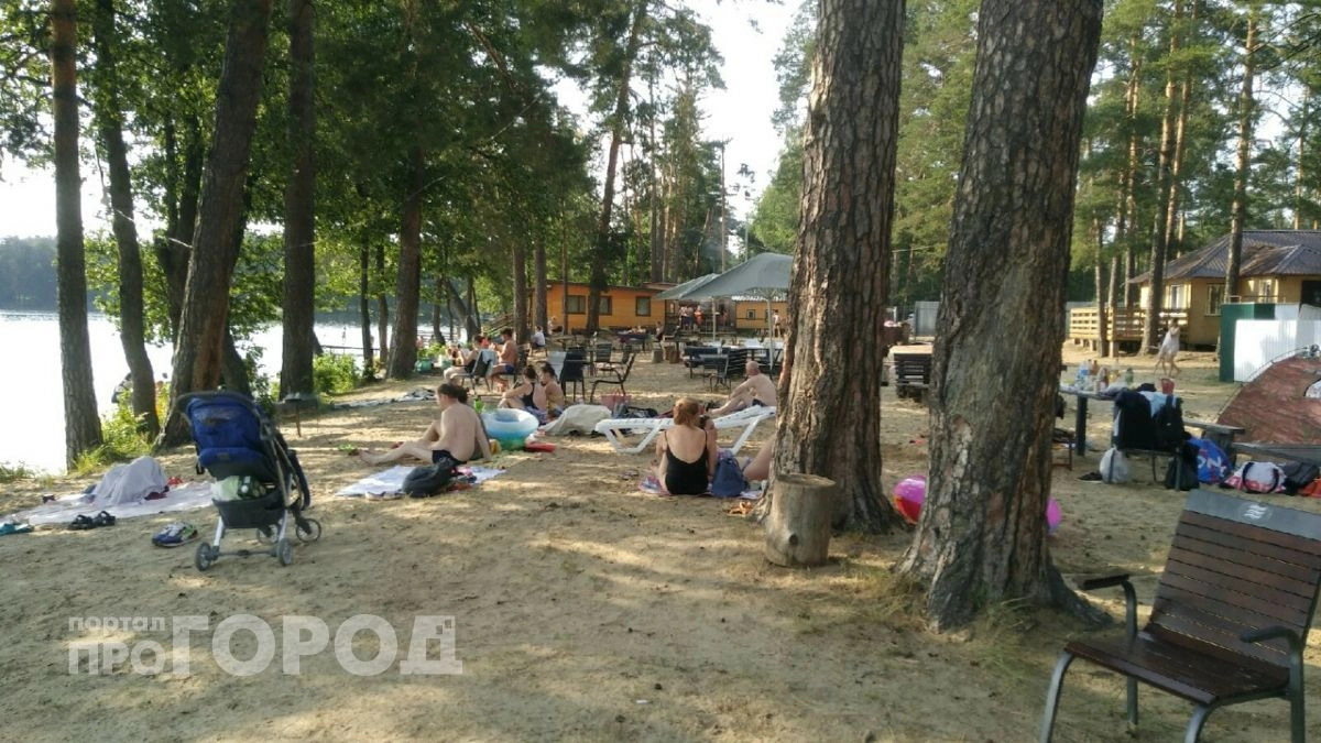 Берег Волги в Борском районе превратят в базу отдыха