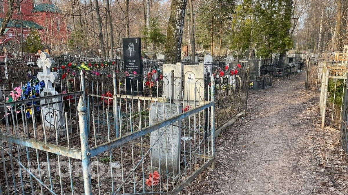 Нижегородскому некрополисту Москвину разрешили свидания с невестой из Лондона в психиатрической больнице