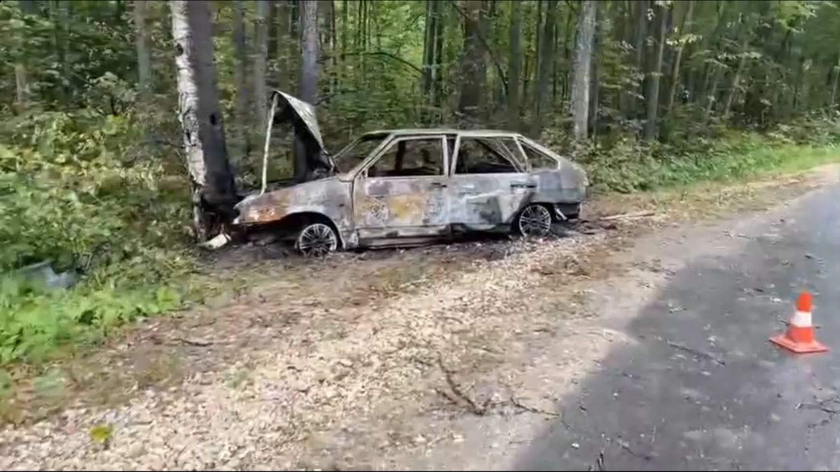 В Навашинском районе легковушка влетела в дерево и загорелась