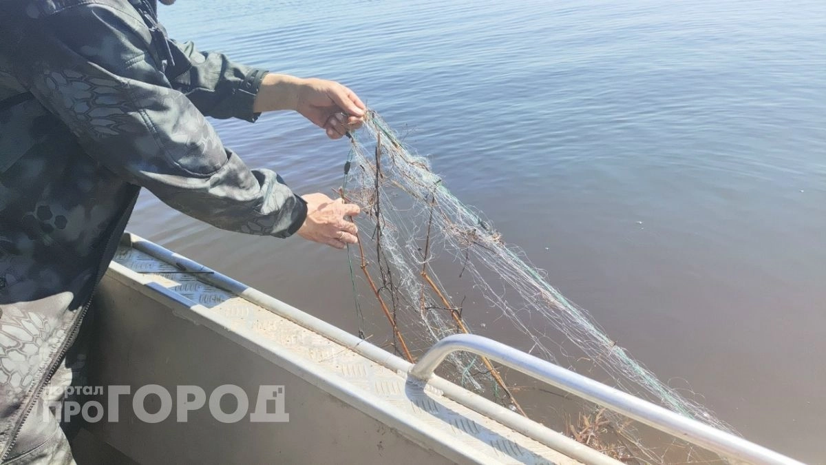До 5 лет тюрьмы грозит жителю Павловского района из-за нескольких рыб, пойманных незаконным способом
