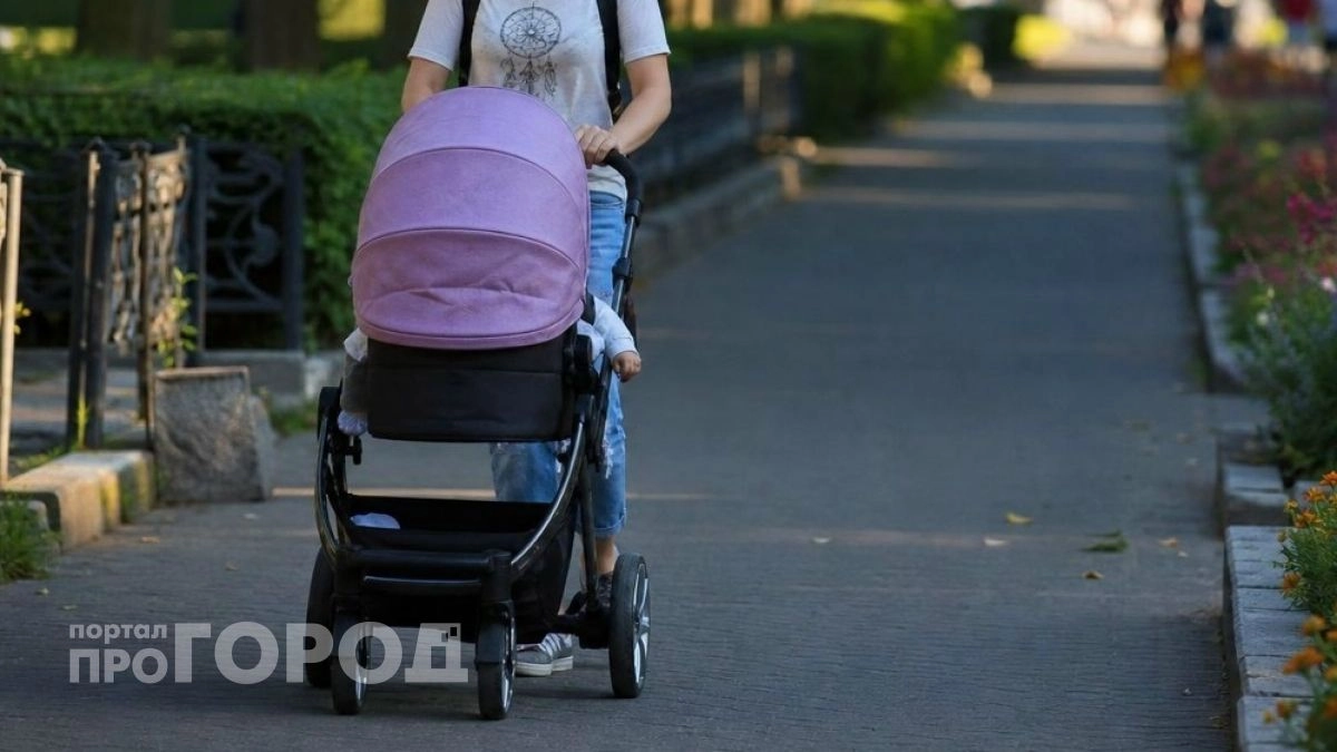 Власти Нижегородской области ограничат срок действия земельного сертификата для многодетных семей