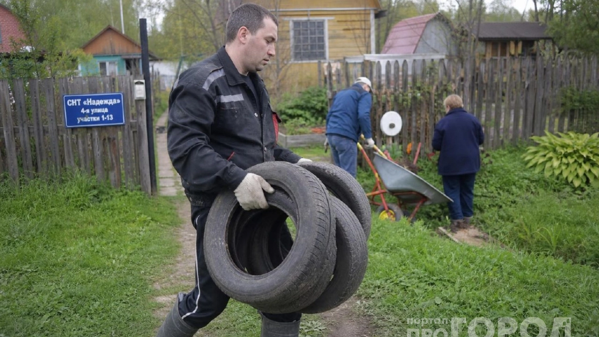 Лебеди из шин своё отжили: практичная переделка старых покрышек для современной дачи
