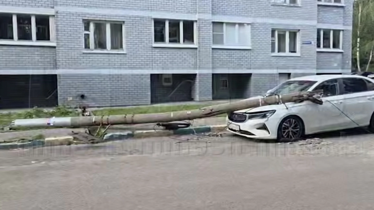 Рабочие уронили столб на машину во время уборки дерева в Щербинках