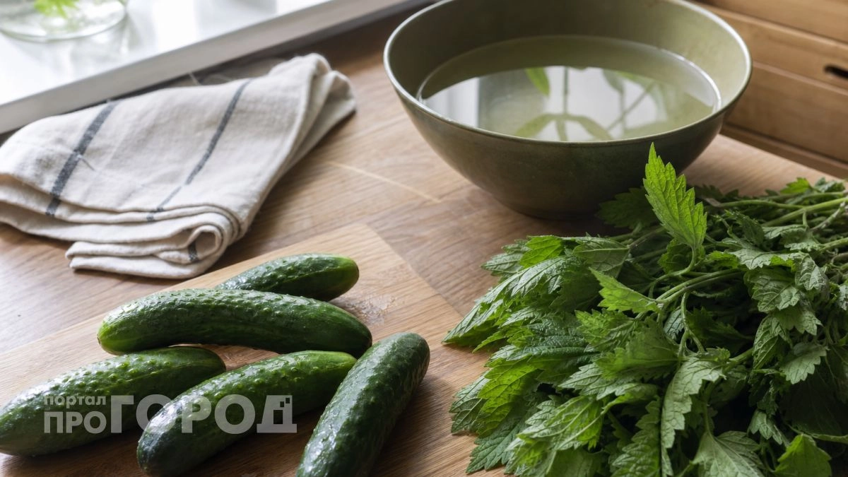 Жаль, что раньше не знала: как сохранить огурцы свежими 5-6 месяцев до Нового Года без консервации
