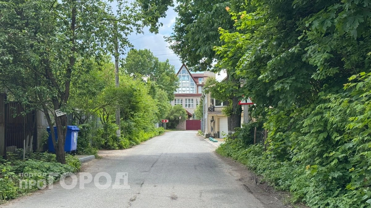 Прокуратура добилась отмены аренды леса из-за памятника природы в Нижегородской области