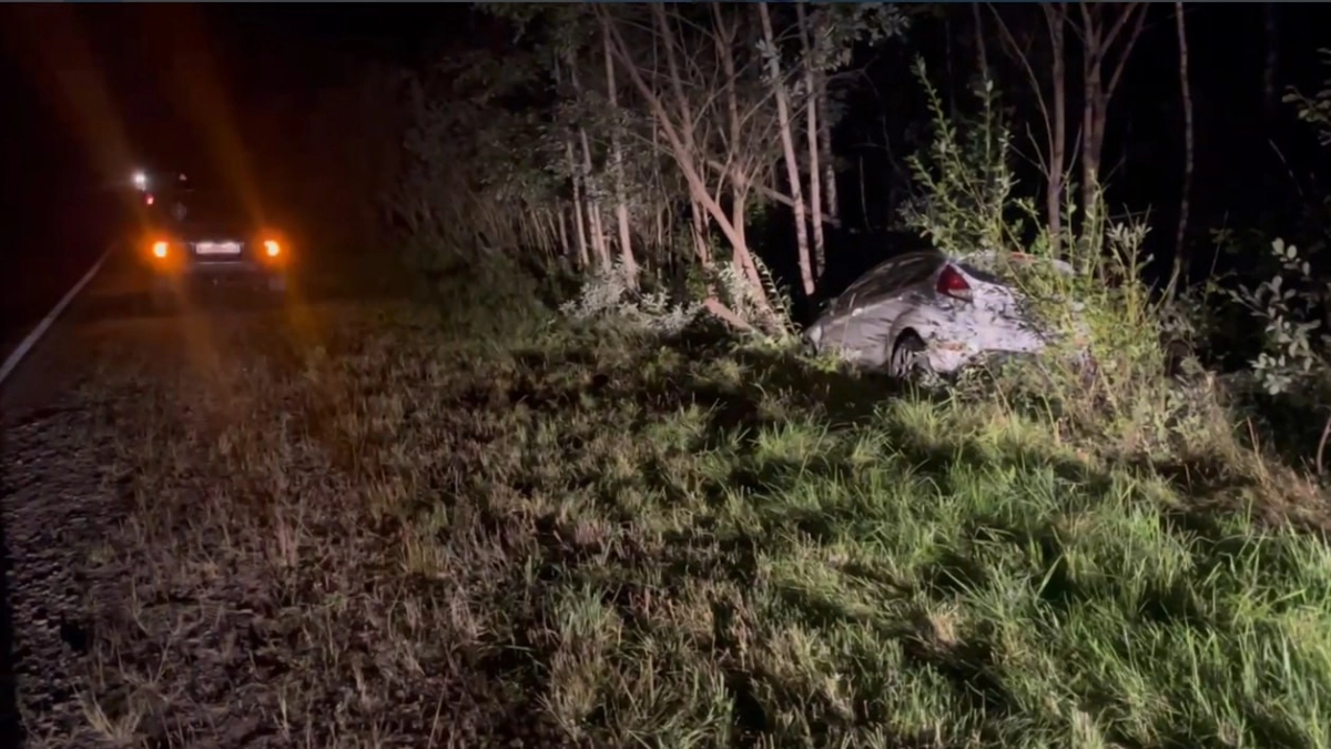 42-летняя водитель Ford Fiesta пострадала в аварии с лосем в Краснобаковском районе