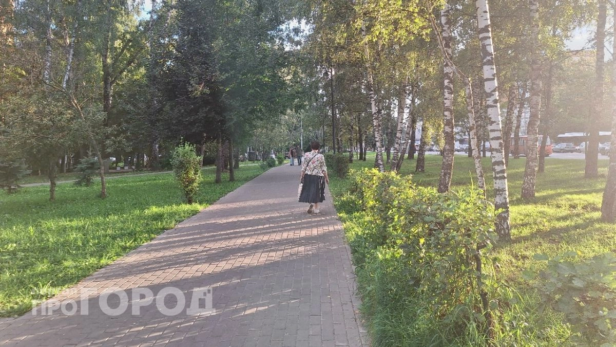 Дневное тепло в Нижнем Новгороде сменится прохладной ночью в это воскресенье