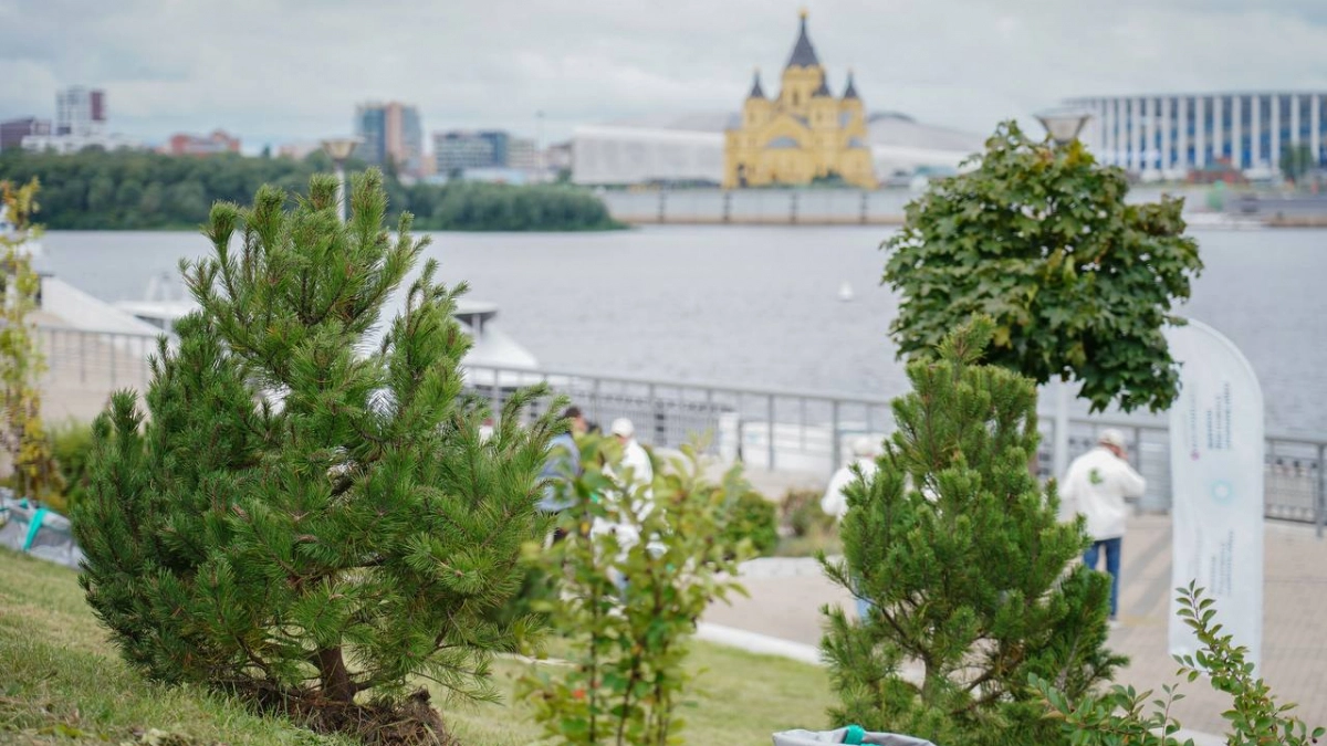 На Нижне-Волжской набережной появилась Аллея лидеров в Нижнем Новгороде