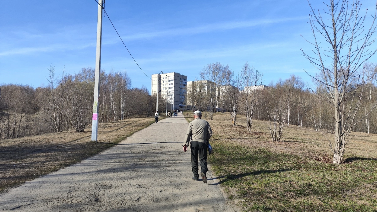 Приняли без огласки: в Соцфонде раскрыли новые правила доплат к пенсии, о которых часто молчат в отделениях