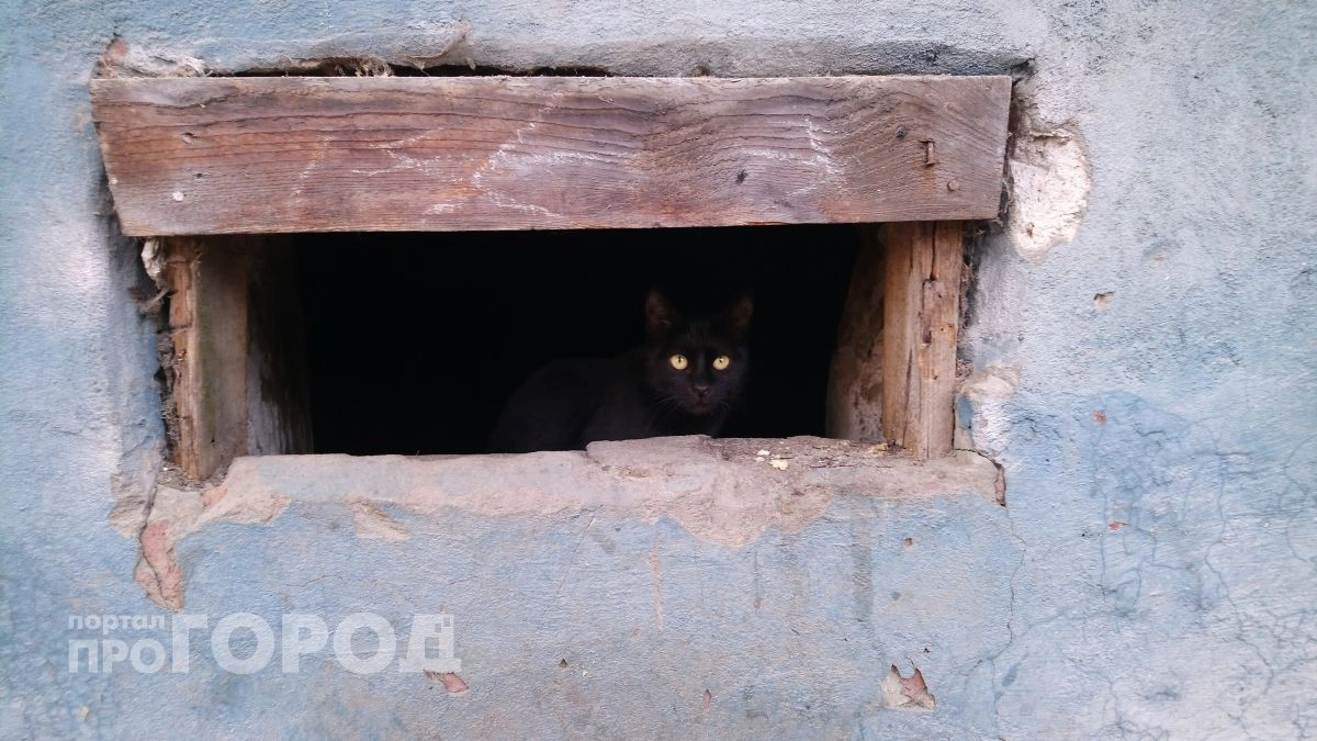 В Нижнем Новгороде продали подвал в доме за 1,5 млн рублей