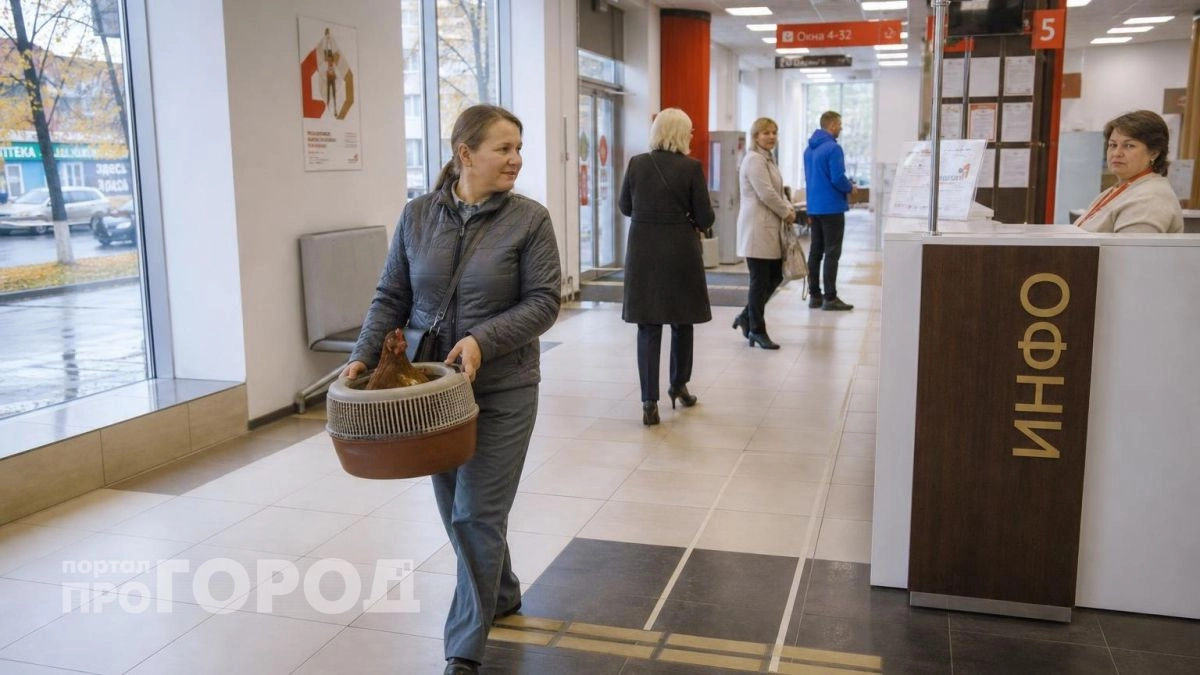 Нужно ли возить кур и кроликов на регистрацию в МФЦ: Россельхознадзор владельцам объяснили, как поставить хозяйство на учет