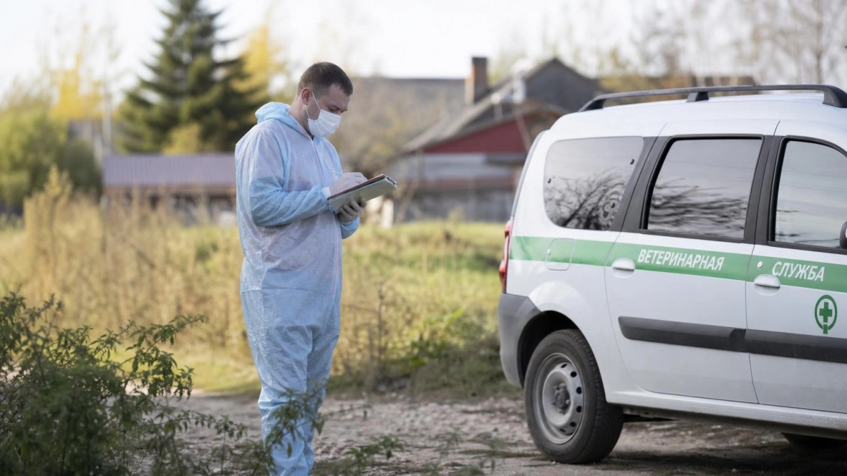 В селе Размазлей ввели карантин по бешенству и ограничили вывоз животных