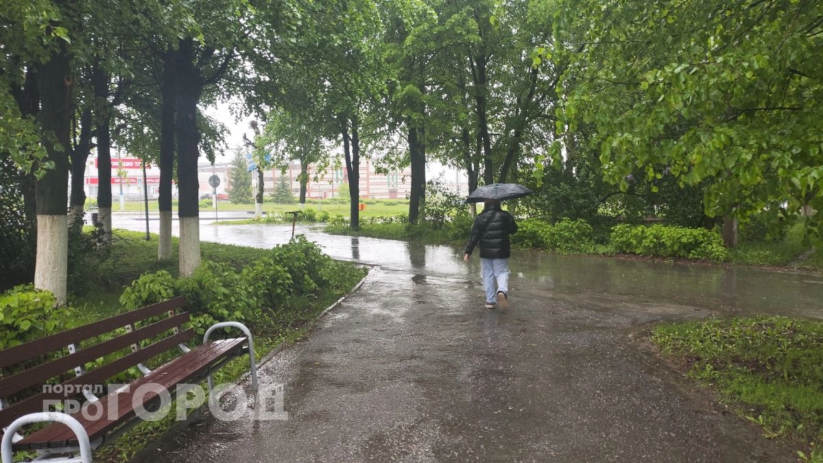 Тучи с самого утра и дождь: тепло в Нижнем Новгороде отступит под гнетом пасмурной погоды