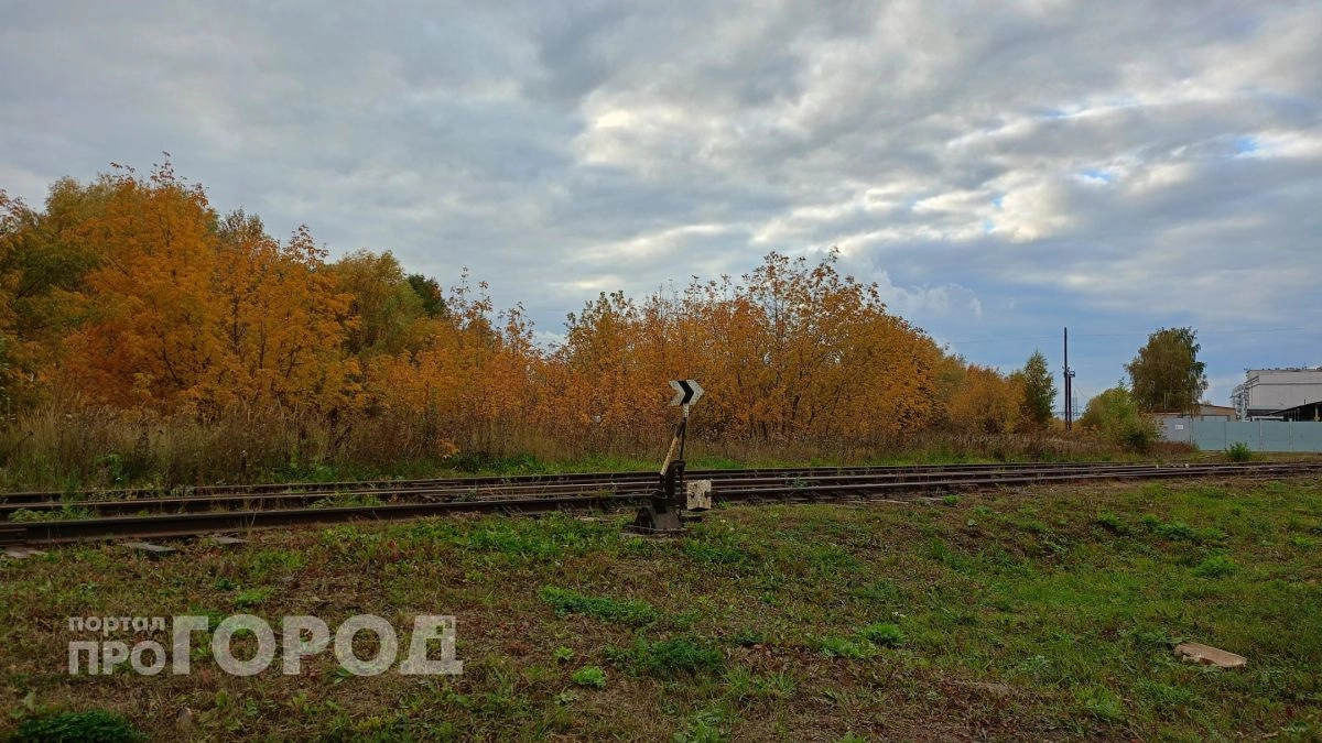 Пассажирский поезд протаранил комбайн на железнодорожном переезде под Лукояновом