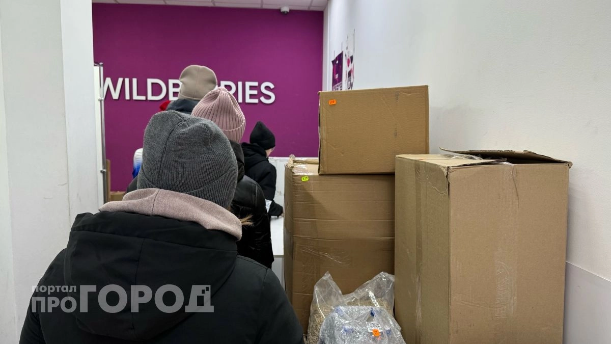 В Нижегородской области более 220 продавцов Wildberries заявили об убытках после атак беспилотников