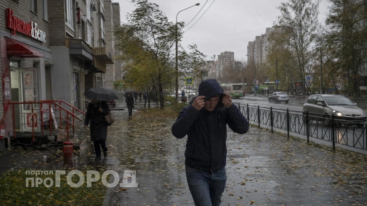 Успейте спасти грядки до прихода холодов: синоптики назвали точную дату заморозков и список нужных мер