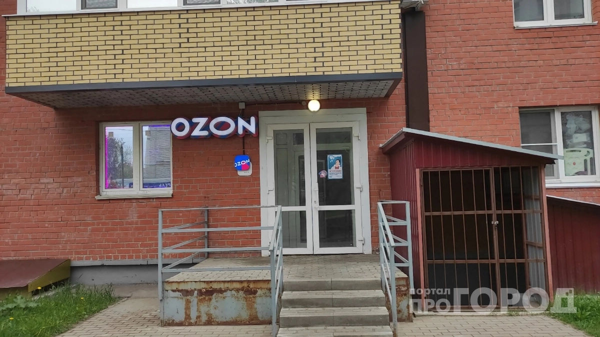 Забудьте про капитальную летнюю кухню: модульный гаджет с Ozon превращает любой уголок дачи в место для заготовок